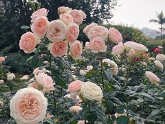 -人民公园(罗湖区)