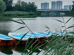 -大兴滨河森林公园