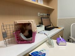 -谐和贝康宠物医院24小时·宠保定点(急重症转诊中心)