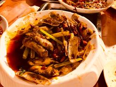 爆炒蛏子-华仔龙虾(永乐路总店)