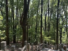 -灵岩山风景区