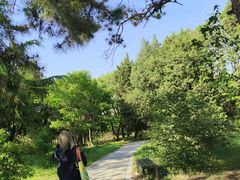 -国家植物园南园