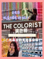 -THE COLORIST调色师