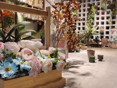 -自由生长植物工作室(深港花卉中心店)