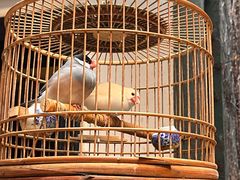 -31号公馆(黄兴广场白果园店)