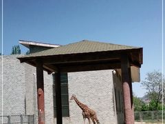 -石家庄市动物园