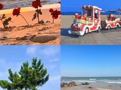 -巧克力渔家.小船海鲜胶东菜(万平口店)