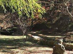 -庐山风景区花径公园