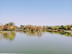 -海珠湖公园