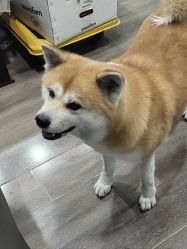 -泫舞舞蹈工作室