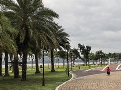 -野狸岛