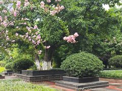 -沙河三洞古桥公园