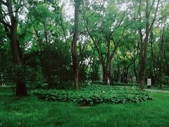 -玲珑塔公园
