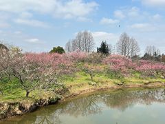 -上海海湾国家森林公园