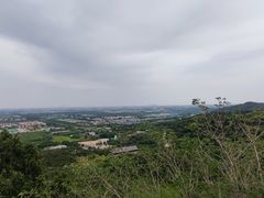景点-北京西山国家森林公园