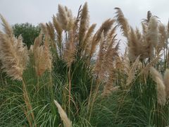 -临平南高铁站(地铁站)