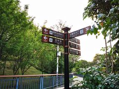 -金鸡山公园