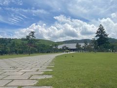 -奈良公园