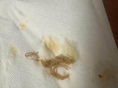 -鸿福面馆·非物质文化遗产(活力源店)
