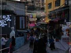 -猫咪博物馆(顶澳仔猫街店)