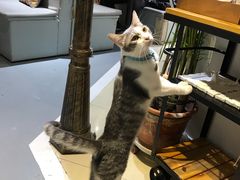 -小时光咖啡馆(开森度假森林店)
