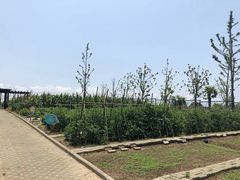 -上海崇明金茂凯悦酒店