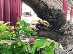 -大树头森林餐厅(番禺广场店)