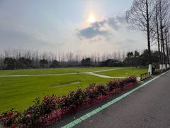 -合肥滨湖国家森林公园