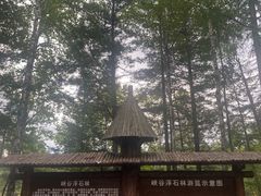 -峡谷浮石林景区