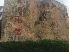 -枸杞岛