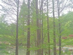 -兰亭风景区