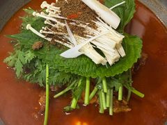 土豆排骨火锅（辣）-喇喇排骨火锅·传统韩式脊骨汤(望京西园总店)