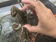 -山城家常菜铁锅炖鱼