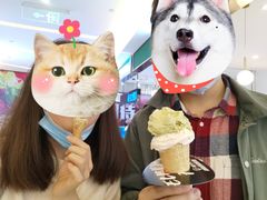 -极拉图·现制冰淇淋(大卫城店)