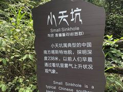 -武隆天坑寨子景区