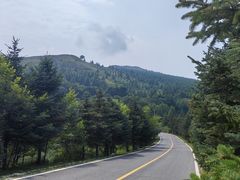 -灵山