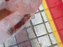 -九多肉多(唐宫路店)