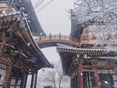 -西安青龙寺遗址景区