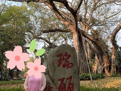 -瑞丽独树成林风景区