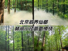 -国家植物园