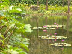 -云溪植物园