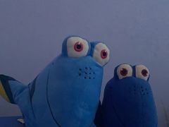 -三亚海棠湾喜来登度假酒店大堂吧