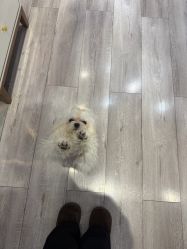 -染指坊日式美甲美睫设计中心