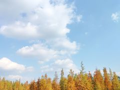 -白鹭湾湿地公园