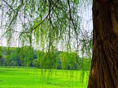 -南宁良凤江国家森林公园