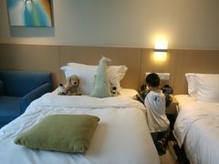 -都江堰中心国际酒店