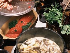 -芸山季·云南山珍菌火锅(人民广场来福士店)