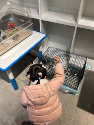 点击看大图 -酷嗒动物文化乐园(cutezoo西溪乐天城店)