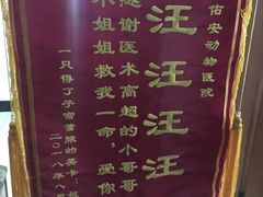 -佑安动物医院·全科·内窥镜中心(幸福巷店)