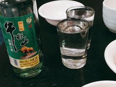 -金龙烧烤·牛肉面(西塔店)